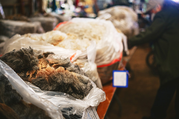 Fleece in bags on table.