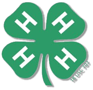 4H clover icon in green