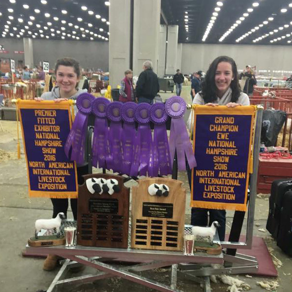 Two young girls in front of their ribbons at a sheep show.